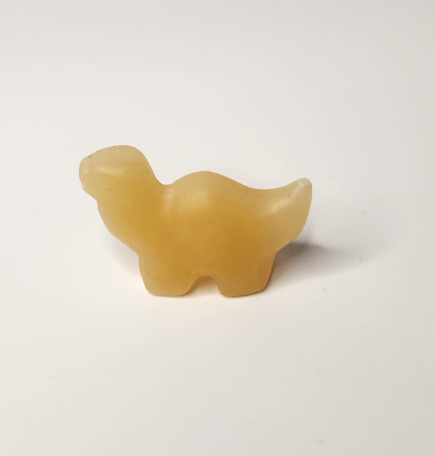 Mini Dinosaur