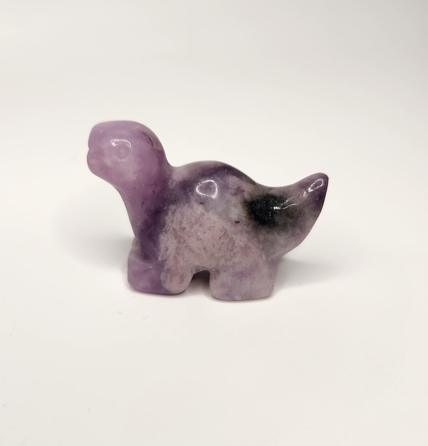 Mini Dinosaur