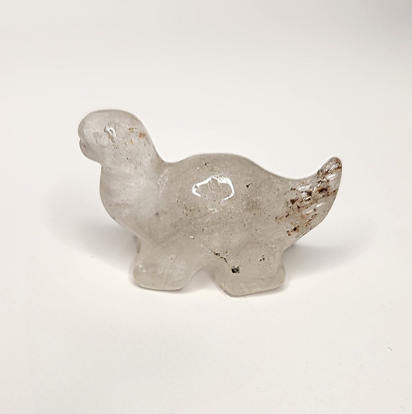 Mini Dinosaur
