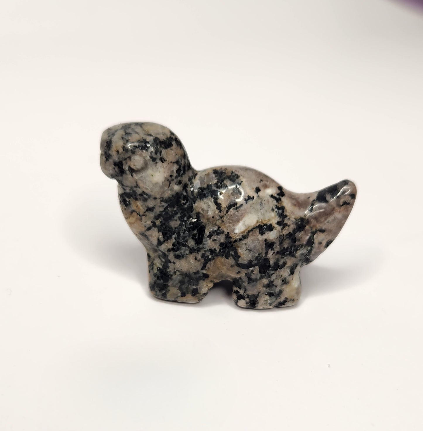 Mini Dinosaur