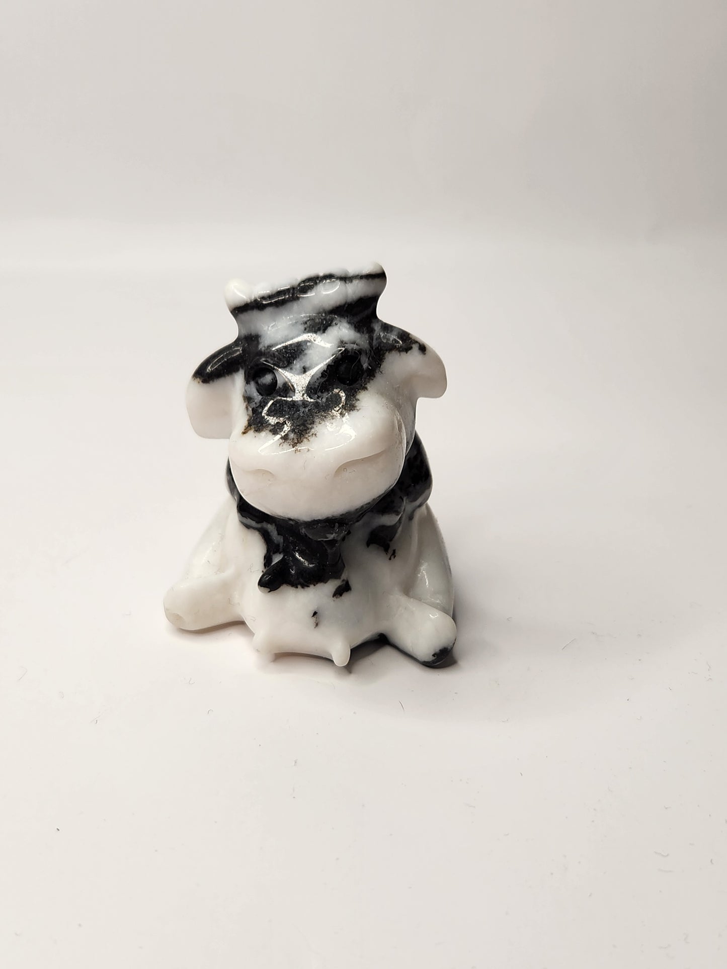 Zebra Jasper Cow