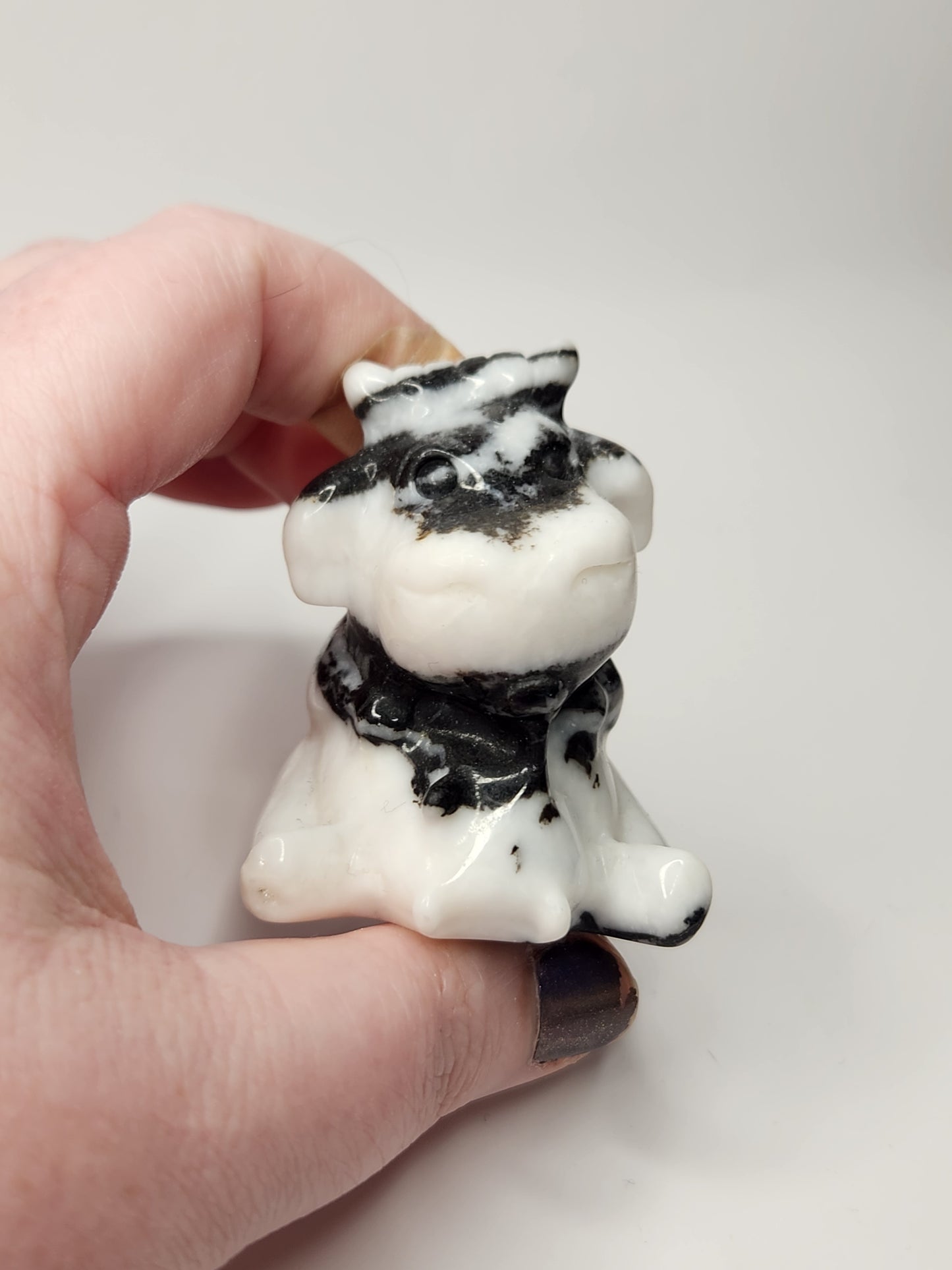 Zebra Jasper Cow