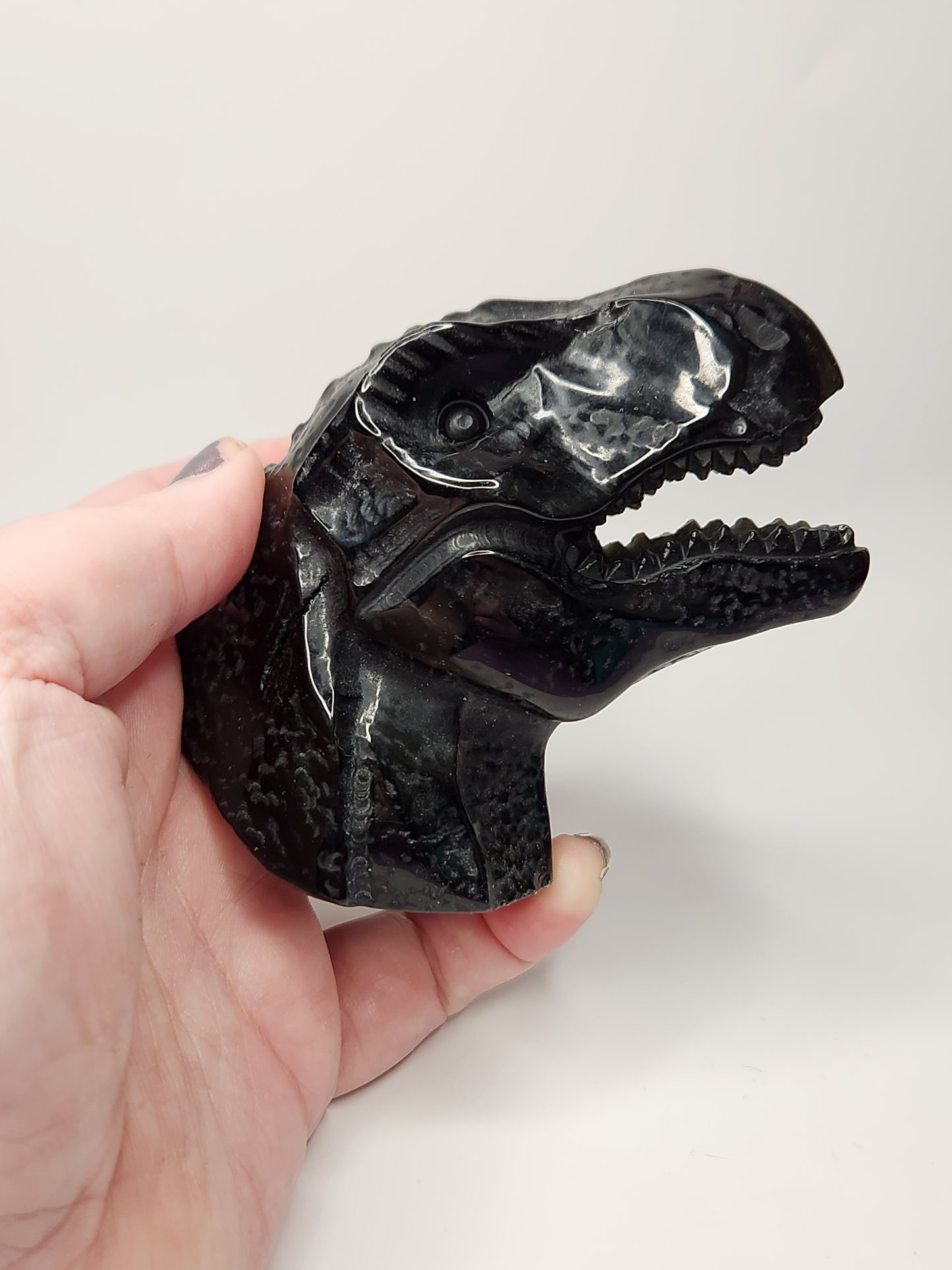 Black Obsidian T-Rex Head