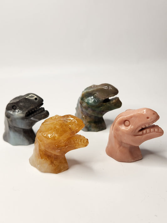 Small T-Rex Head