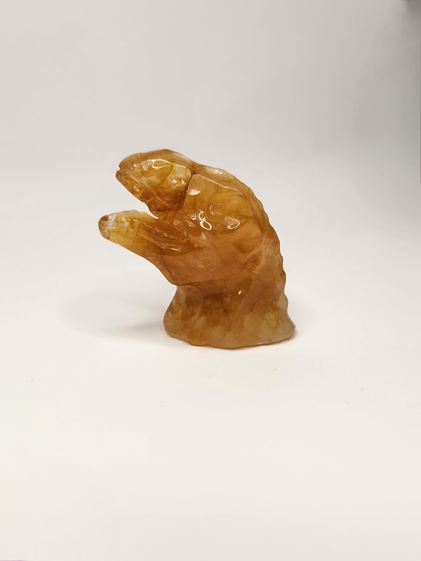Small T-Rex Head