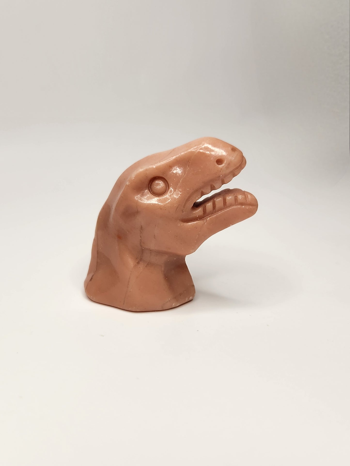Small T-Rex Head