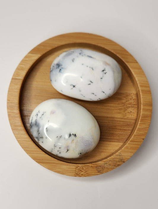 Dendritic Opal Palm Stone