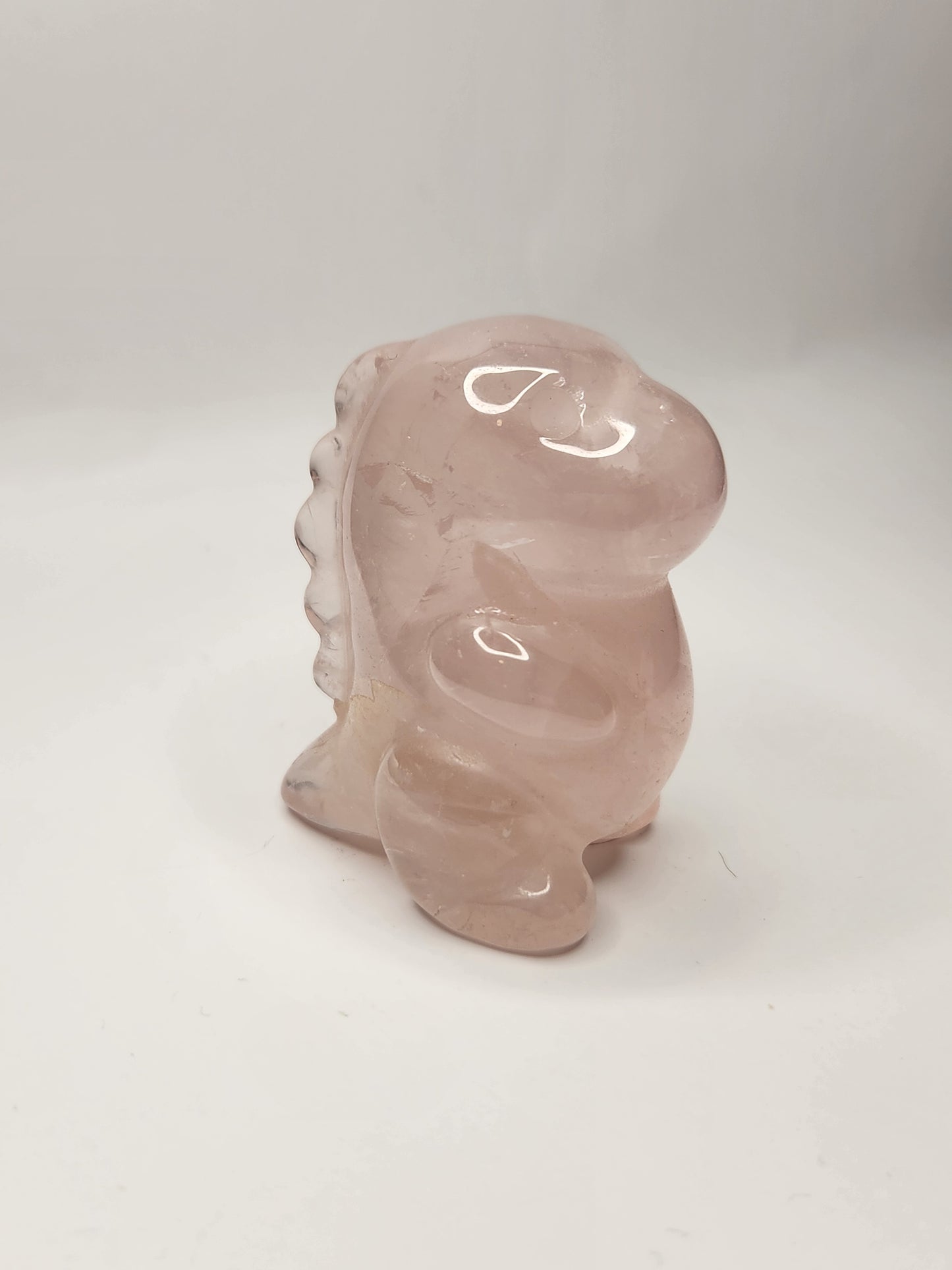 Chunky Dinosaur