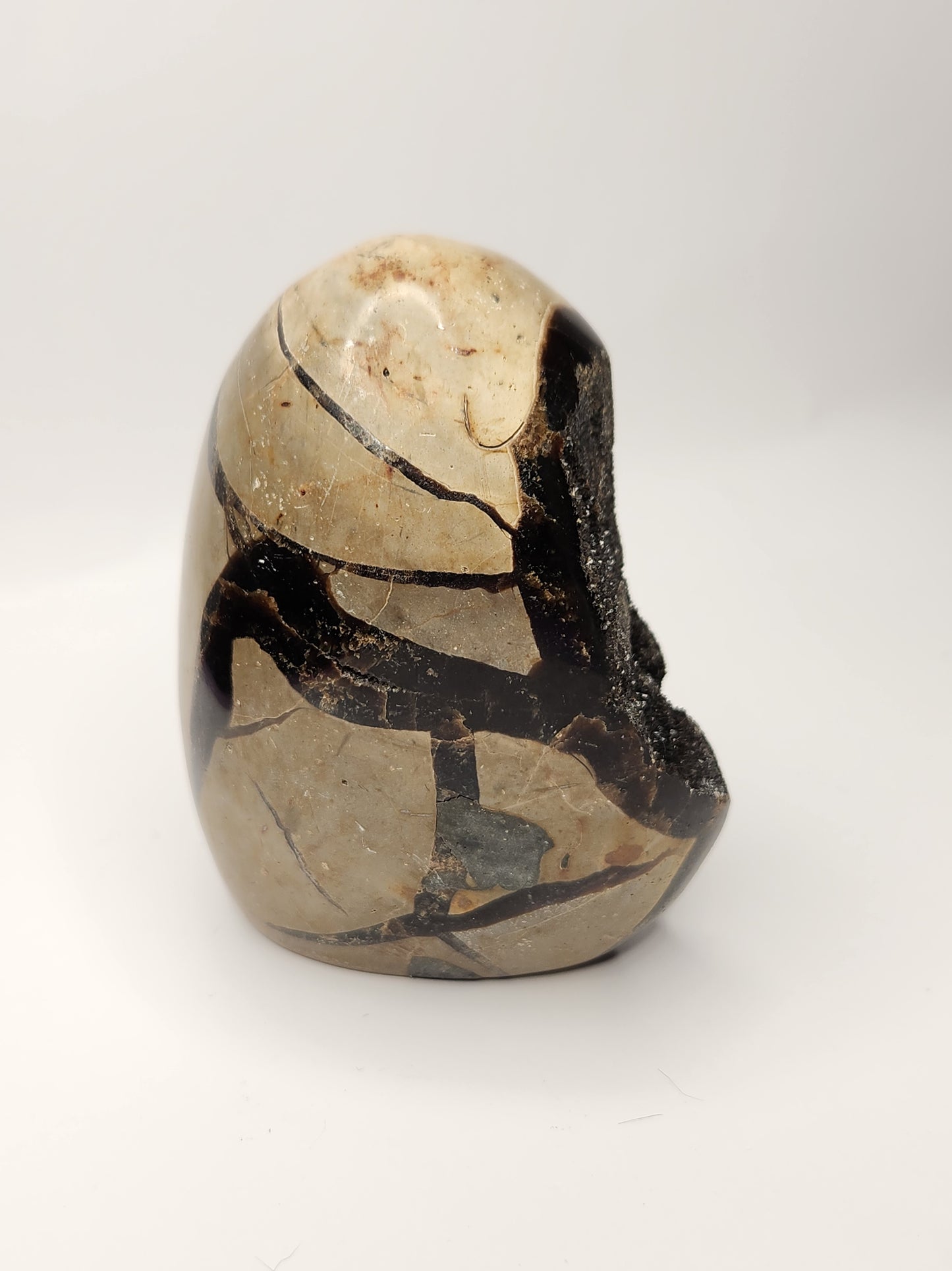 Druzy Septarian Free Form