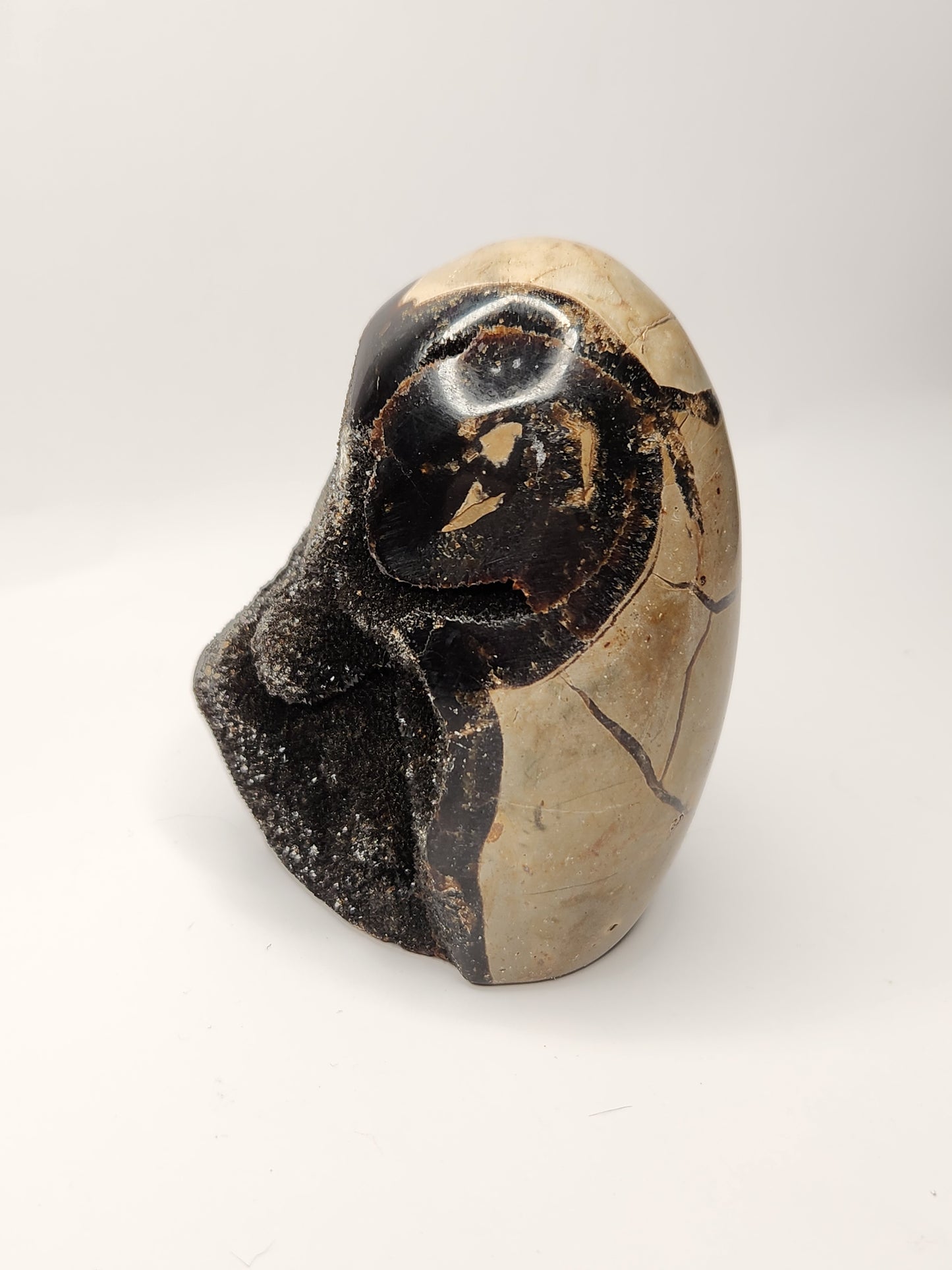 Druzy Septarian Free Form