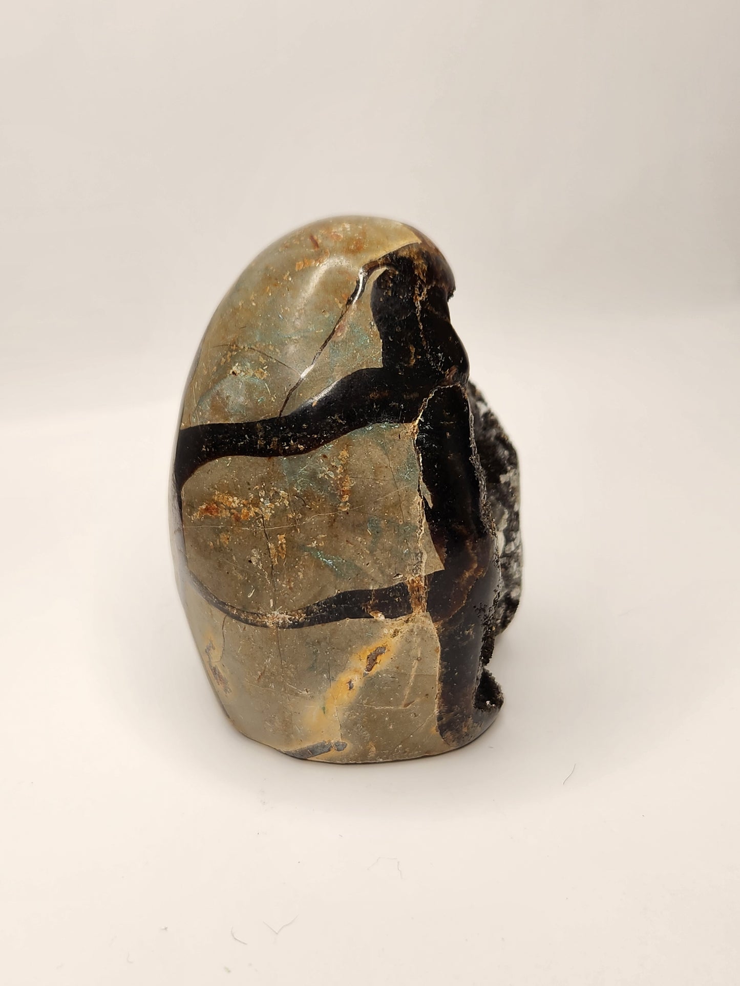Druzy Septarian Free Form