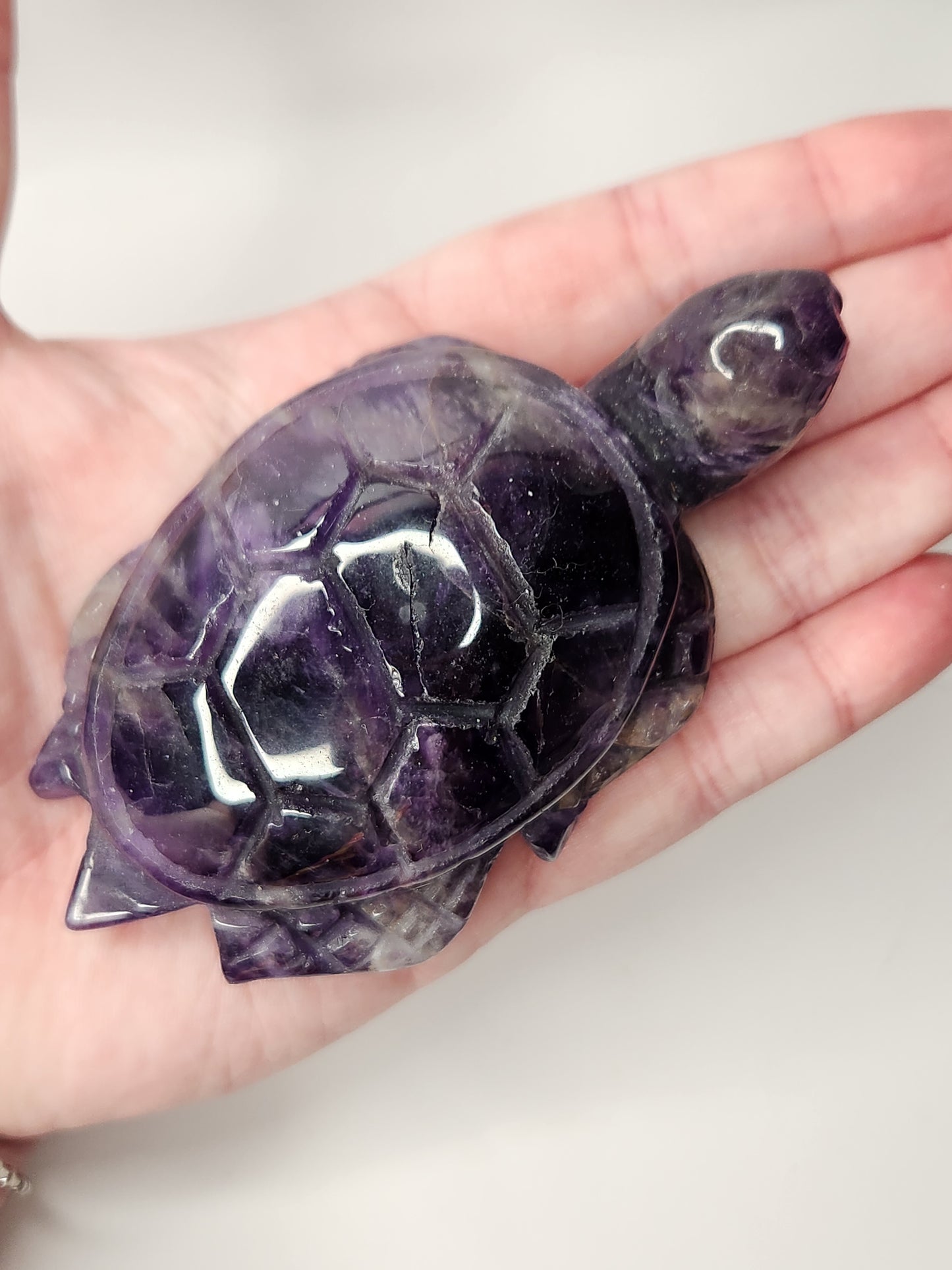 Amethyst Sea Turtle