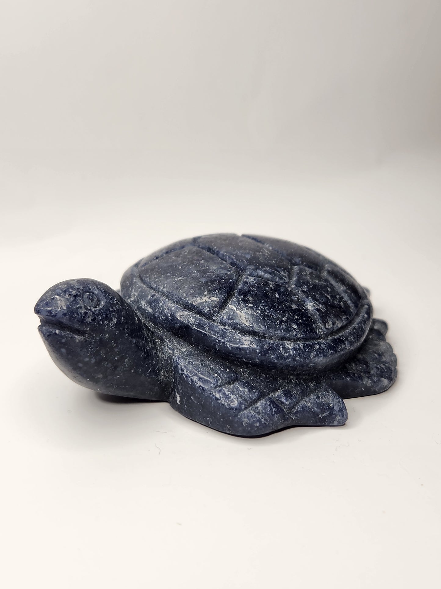 Blue Aventurine Sea Turtle