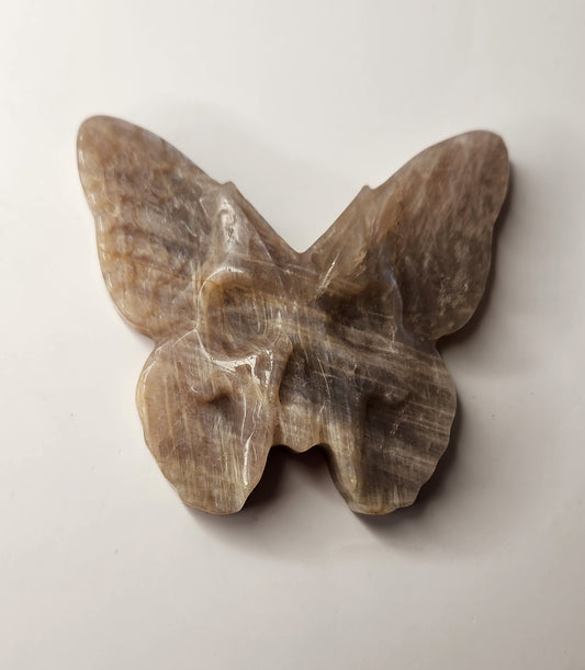 Moonstone Death Moth