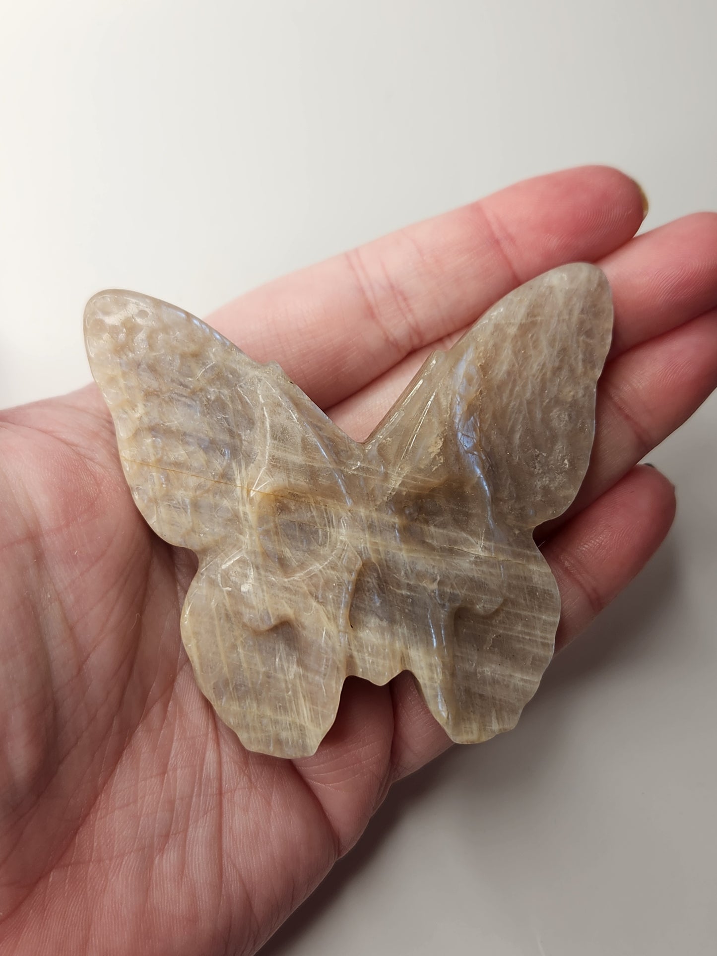 Moonstone Death Moth