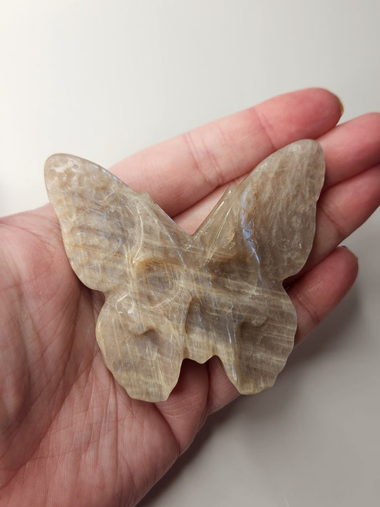 Moonstone Death Moth