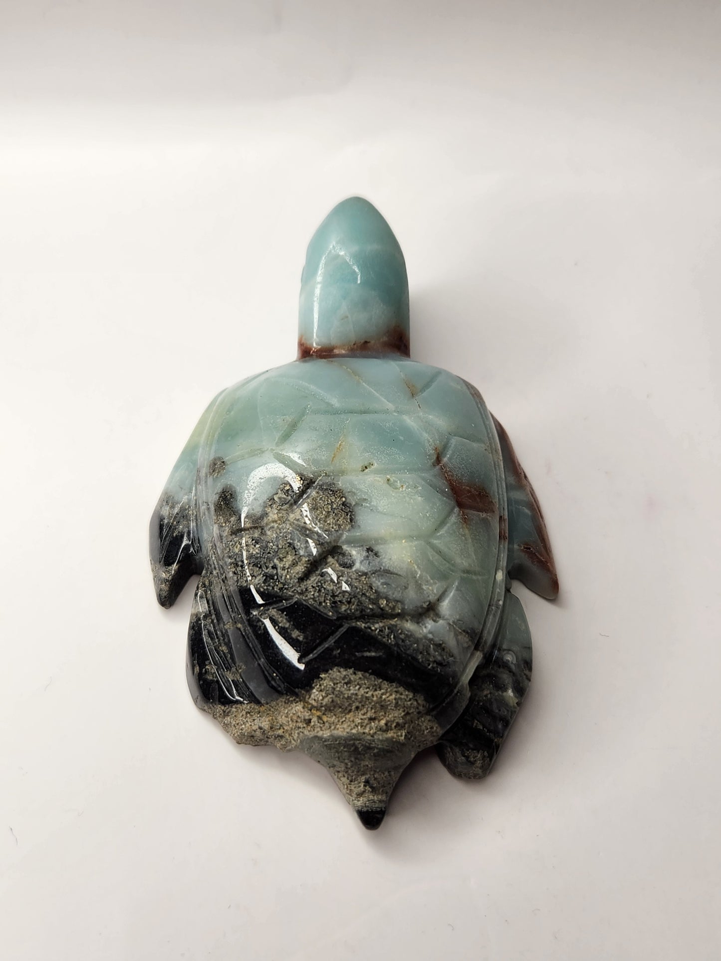 Caribbean Calcite Turtle