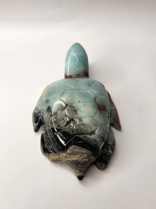 Caribbean Calcite Turtle