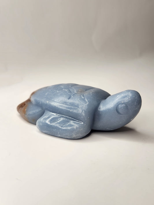 Angelite Turtle