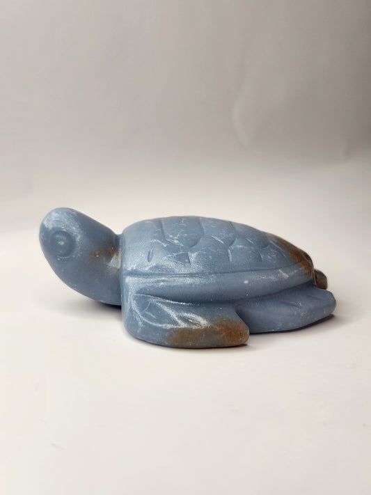 Angelite Turtle