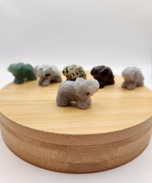 Mystery Mini Elephant