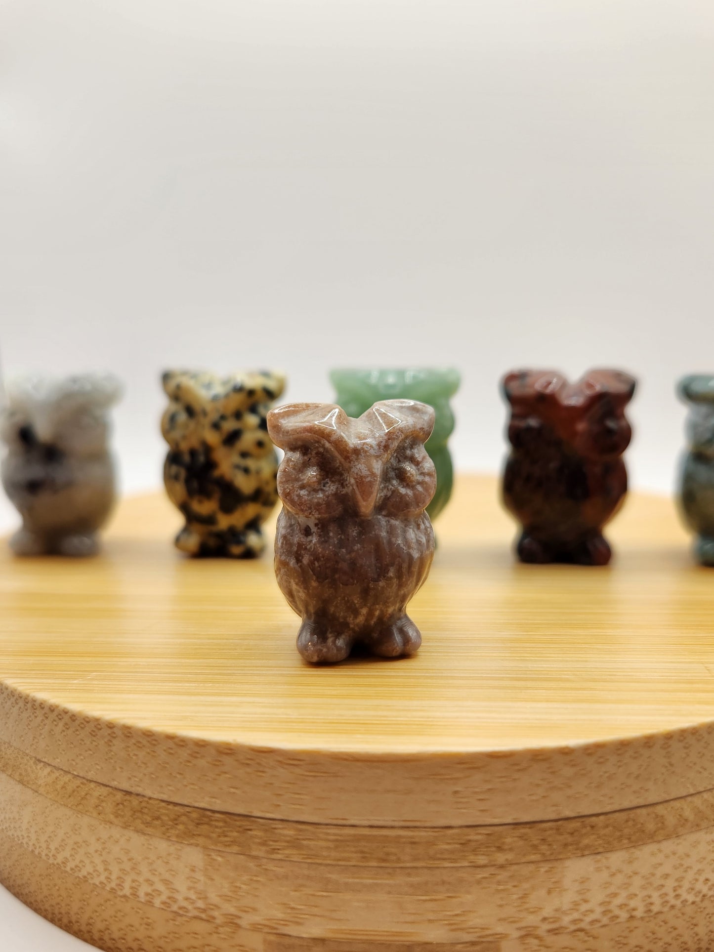 Mystery Mini Owl