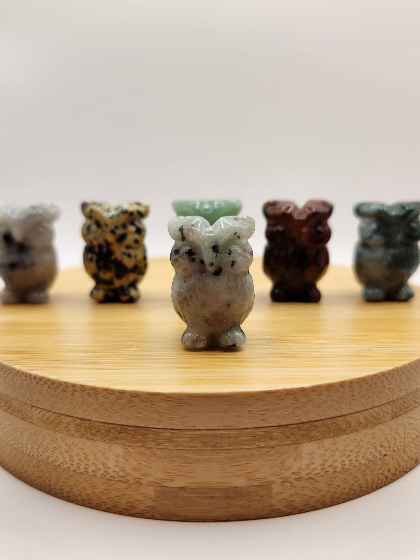 Mystery Mini Owl