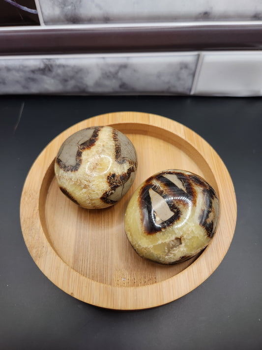 Septarian Palm Stone