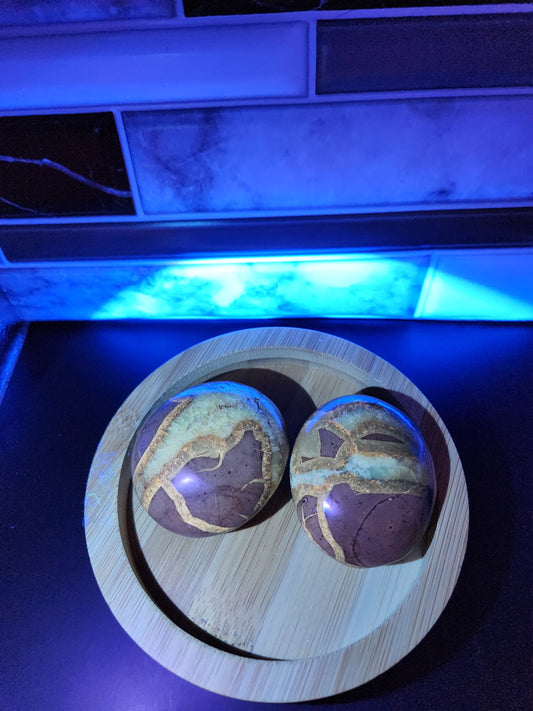 Septarian Palm Stone