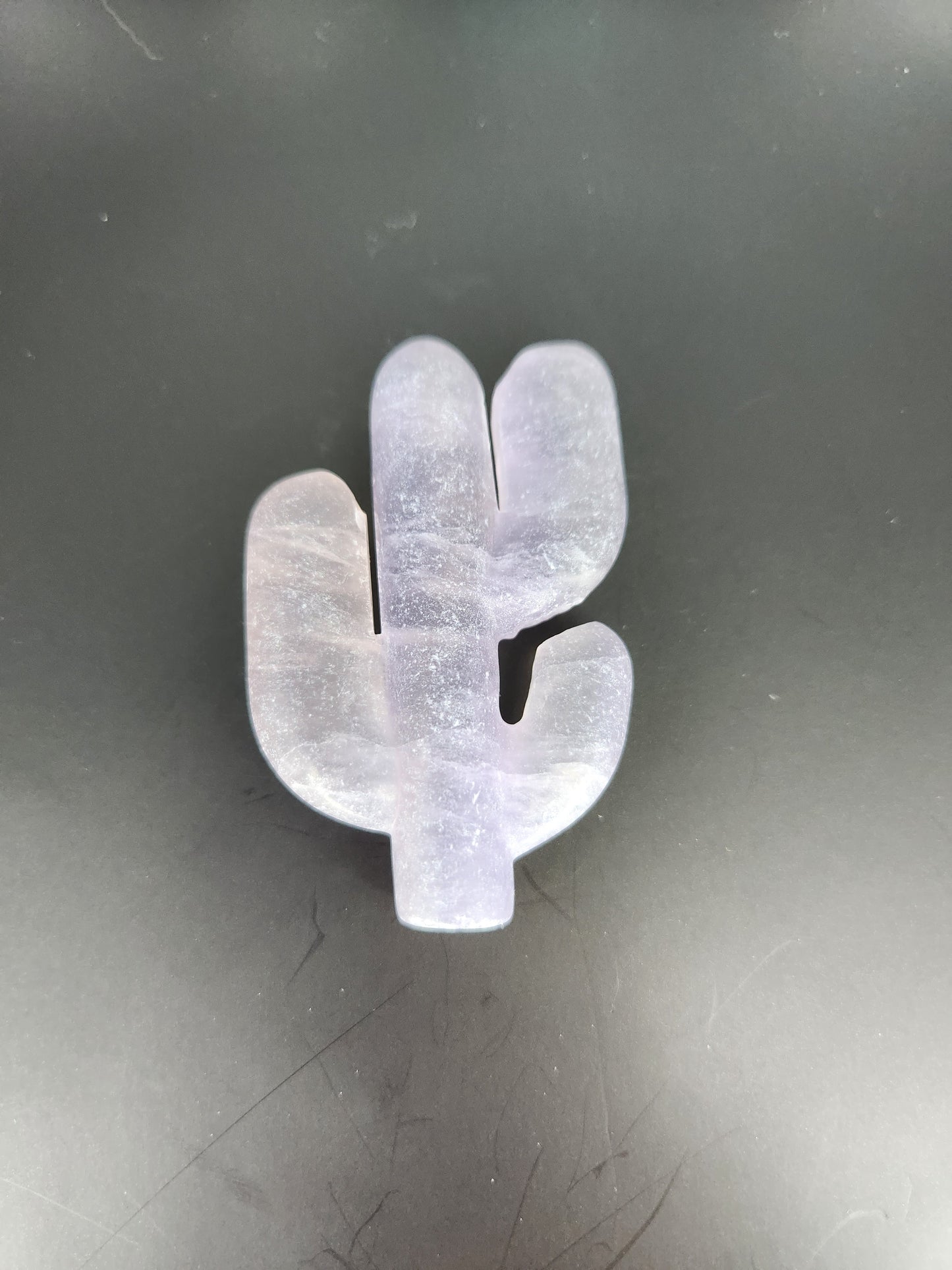 Cactus Carving