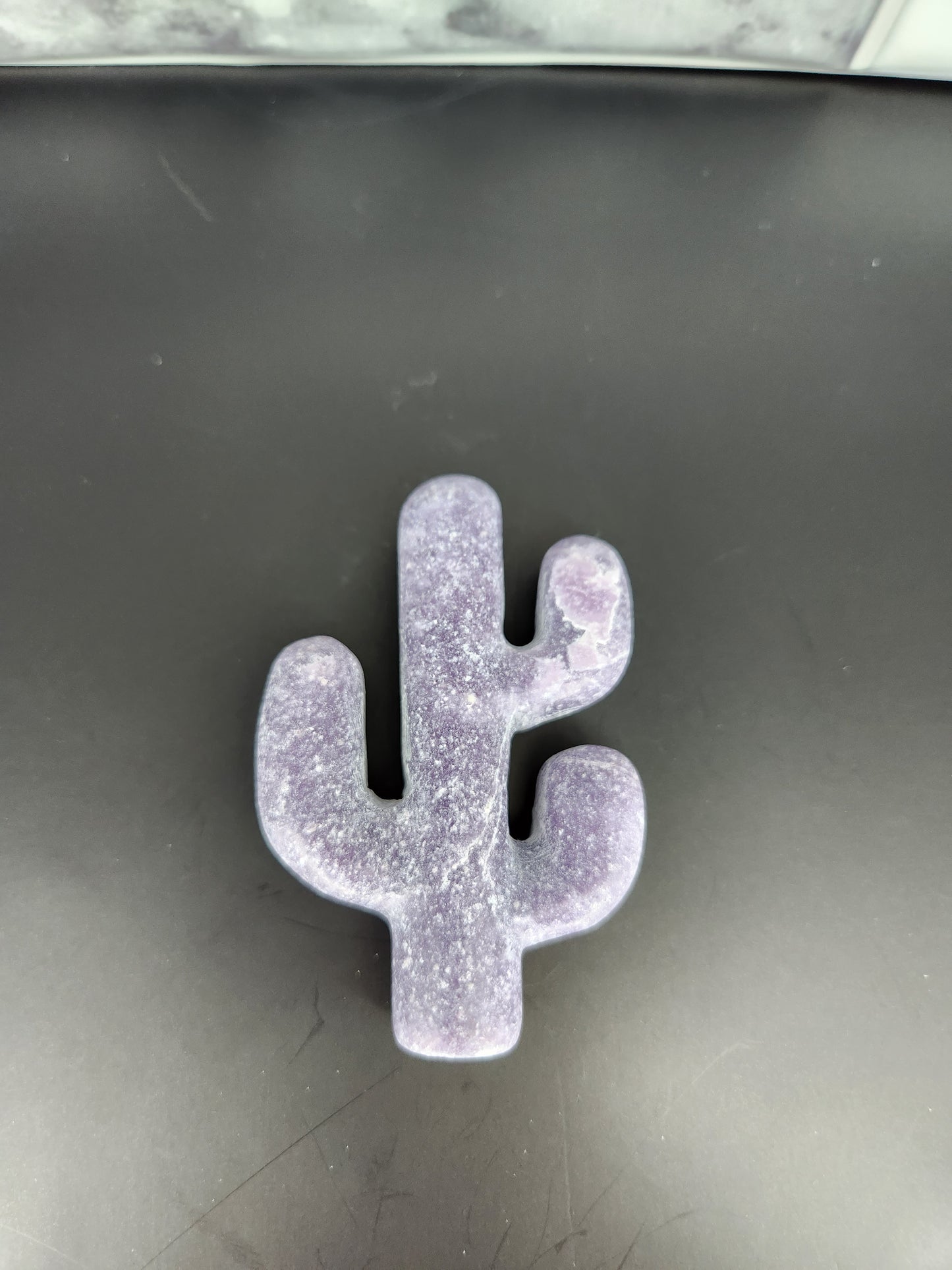 Cactus Carving