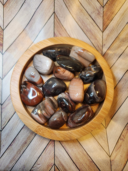 Petrified Wood Tumble
