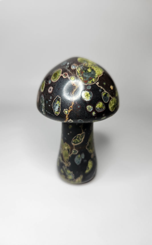 Plum Blossom Jasper Mushroom