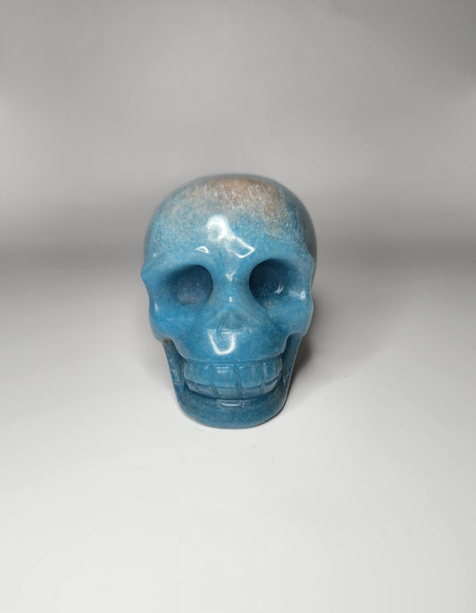 Trolleite Skull