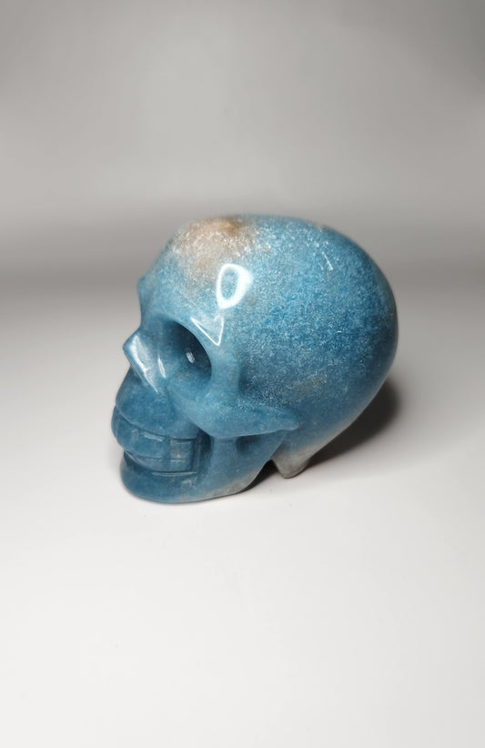 Trolleite Skull