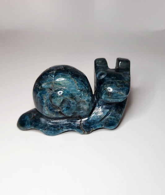Blue Apatite Snail