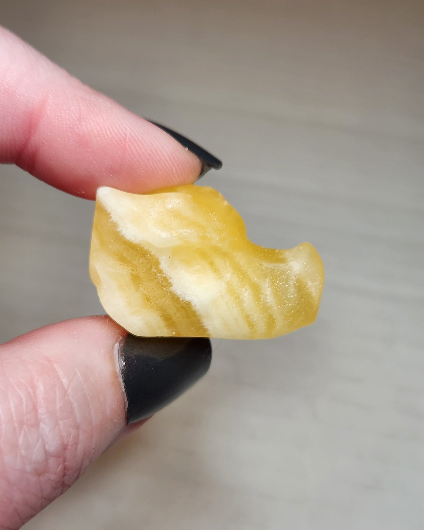 Mini Dragon Head