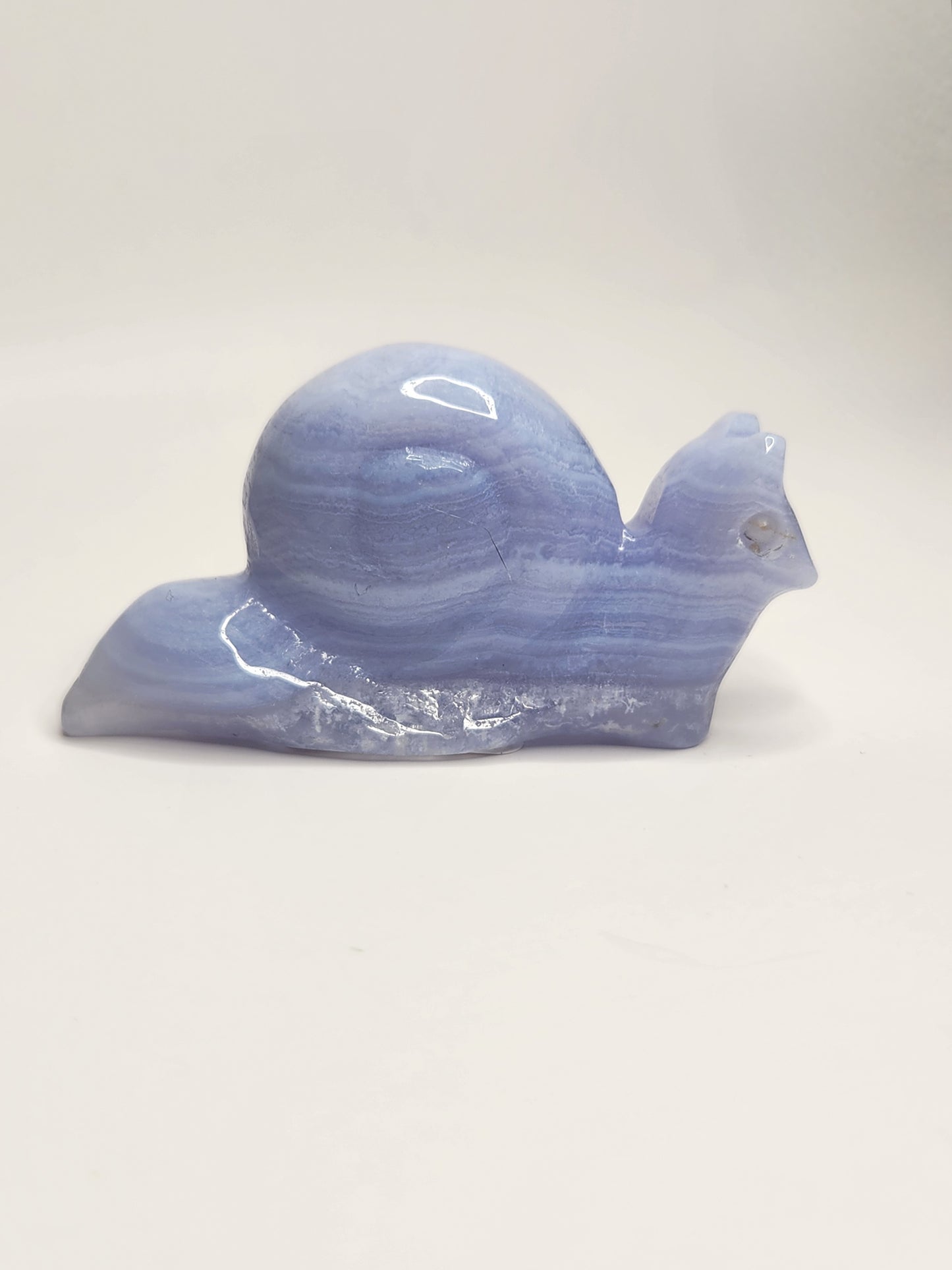 Blue Lace Agate Snail