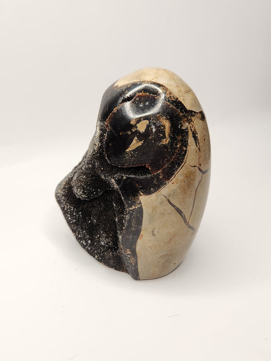 Druzy Septarian Free Form