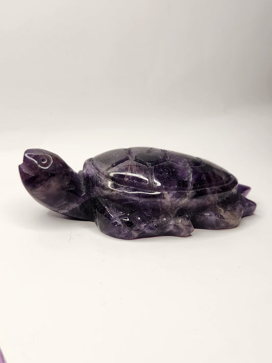 Amethyst Sea Turtle