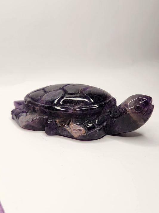 Amethyst Sea Turtle