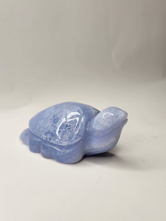 Blue Lace Agate Turtle