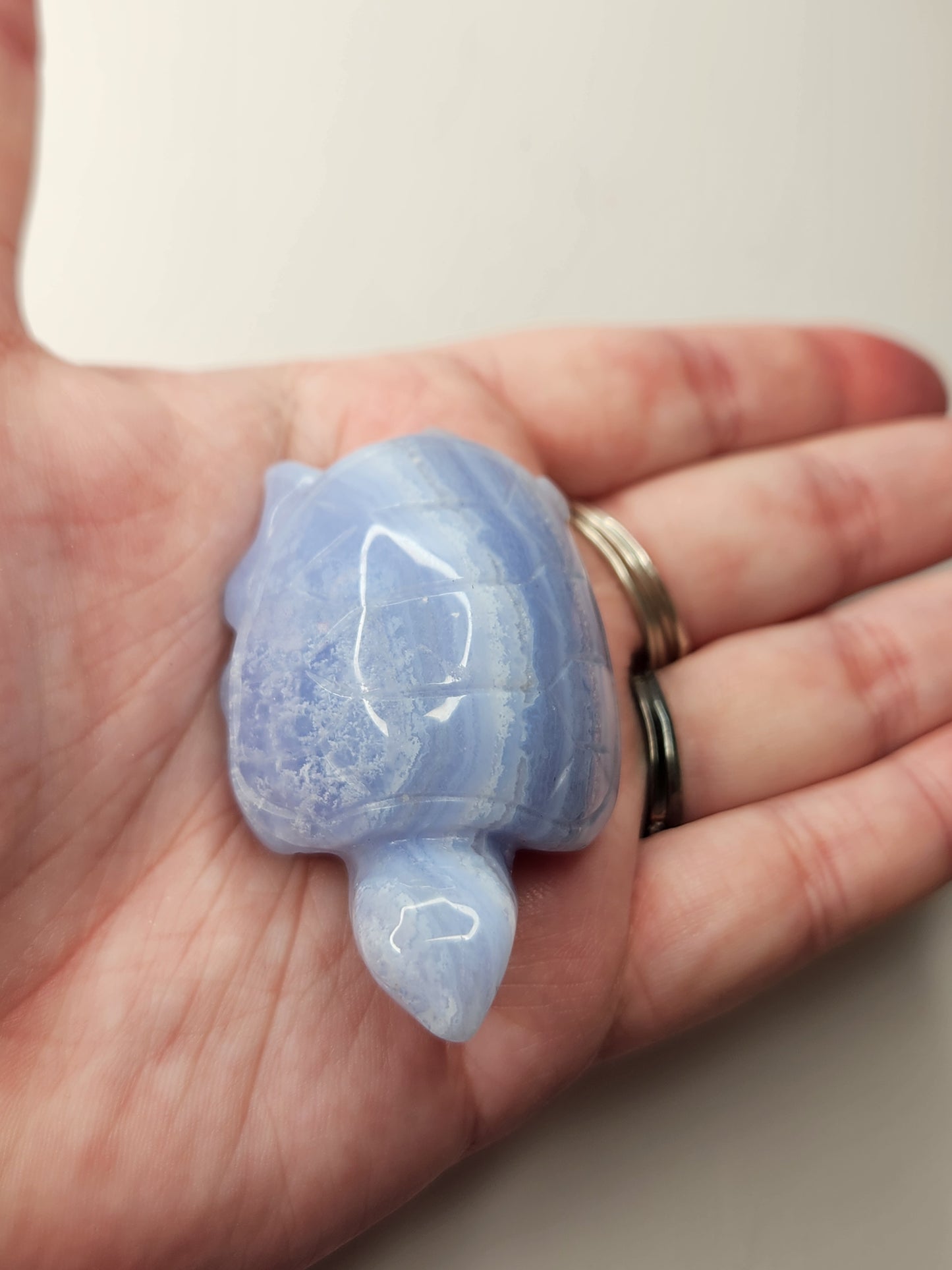 Blue Lace Agate Turtle