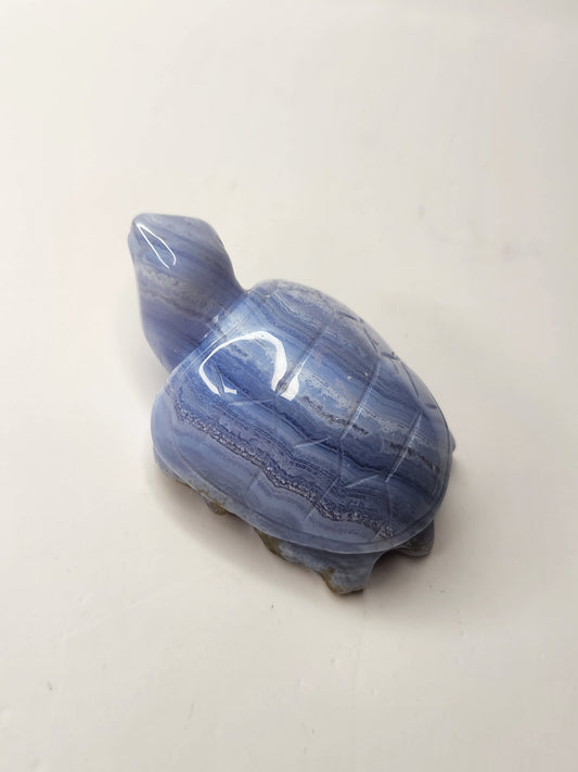 Blue Lace Agate Turtle