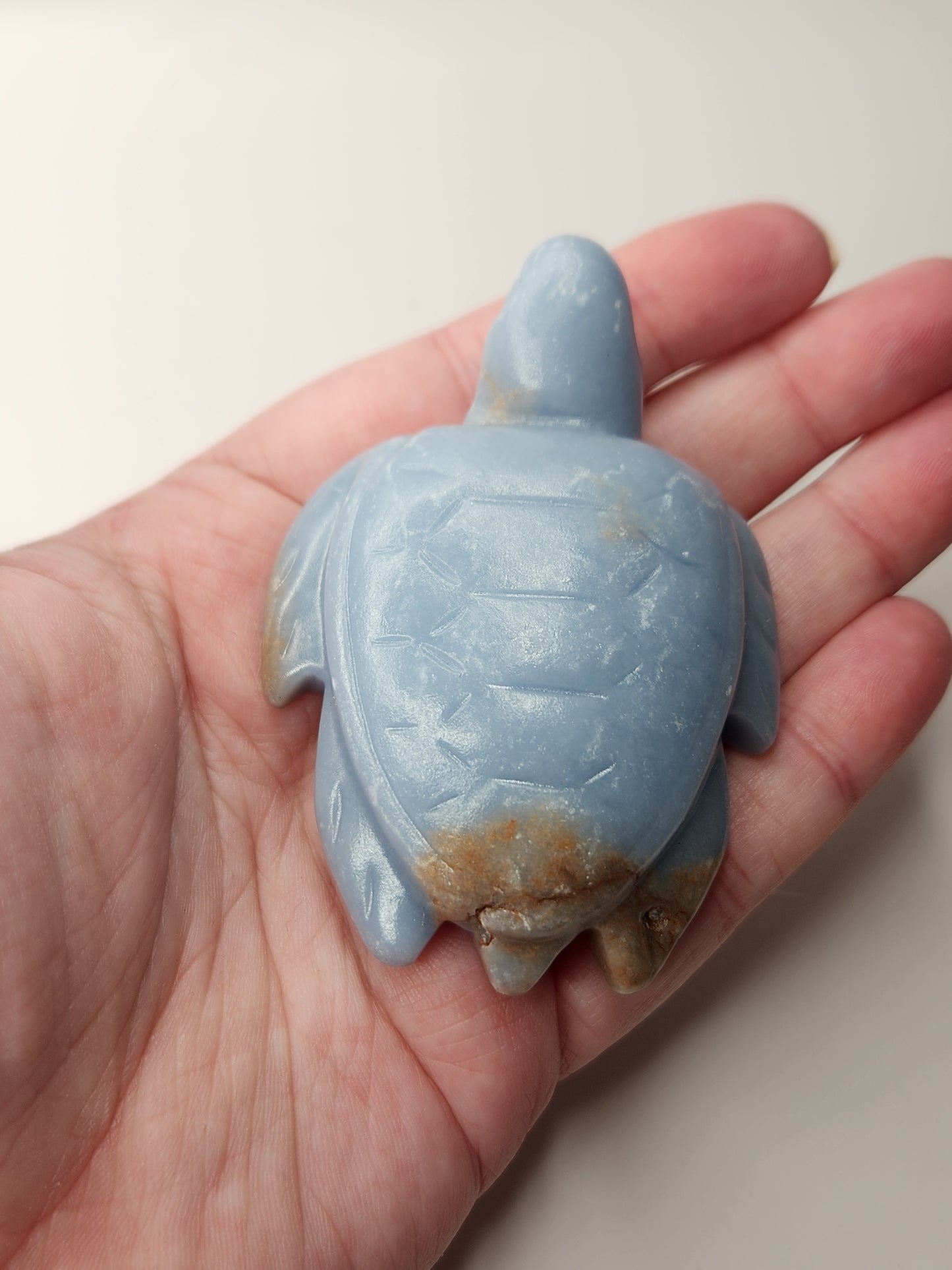 Angelite Turtle