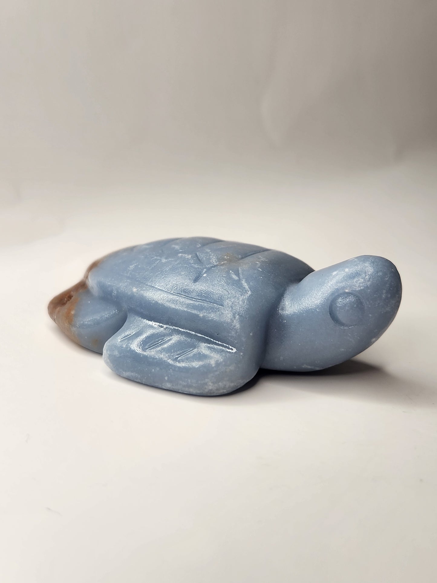 Angelite Turtle