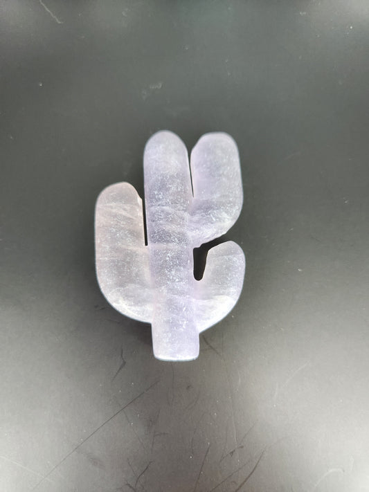 Cactus Carving